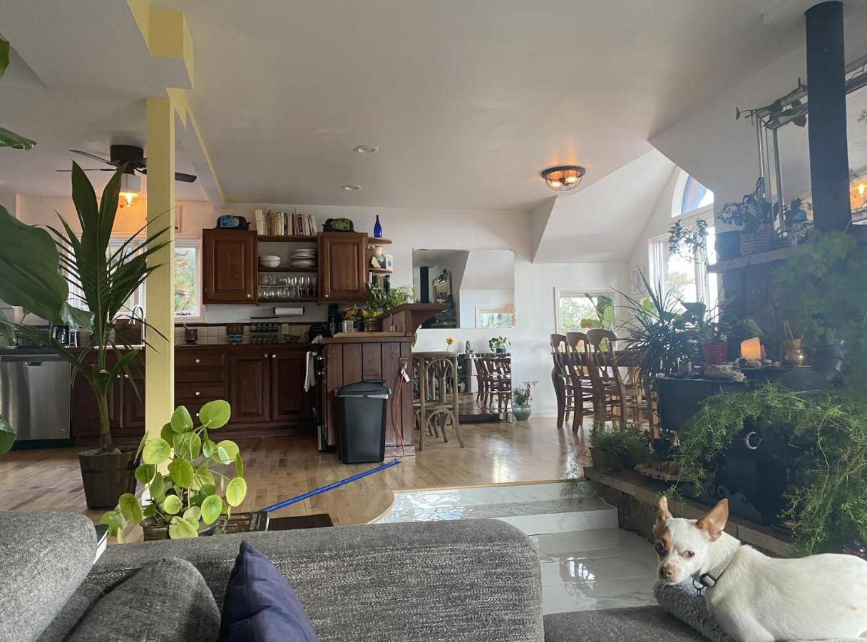 Boulder Best City And Nature With Lake And Trails Pets Ok Exterior foto